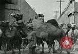 Image Le cirque arrive dans une ville en Amérique United States USA, 1919, de la seconde 57 séquences d'archives historiques vidéo 65675078133