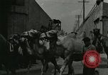 Image Le cirque arrive dans une ville en Amérique United States USA, 1919, de la seconde 59 séquences d'archives historiques vidéo 65675078133