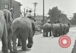 Standbild Circus United States USA, 1919, aus Sekunde 3 historischem Filmmaterial Videoclip 65675078134