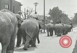 Standbild Circus United States USA, 1919, aus Sekunde 4 historischem Filmmaterial Videoclip 65675078134