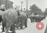 Standbild Circus United States USA, 1919, aus Sekunde 5 historischem Filmmaterial Videoclip 65675078134