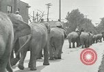 Standbild Circus United States USA, 1919, aus Sekunde 6 historischem Filmmaterial Videoclip 65675078134