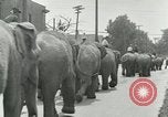 Standbild Circus United States USA, 1919, aus Sekunde 8 historischem Filmmaterial Videoclip 65675078134