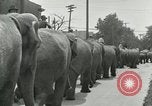 Standbild Circus United States USA, 1919, aus Sekunde 10 historischem Filmmaterial Videoclip 65675078134
