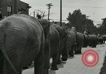 Standbild Circus United States USA, 1919, aus Sekunde 11 historischem Filmmaterial Videoclip 65675078134