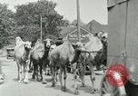 Standbild Circus United States USA, 1919, aus Sekunde 19 historischem Filmmaterial Videoclip 65675078134