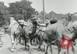 Standbild Circus United States USA, 1919, aus Sekunde 21 historischem Filmmaterial Videoclip 65675078134