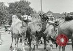 Standbild Circus United States USA, 1919, aus Sekunde 22 historischem Filmmaterial Videoclip 65675078134