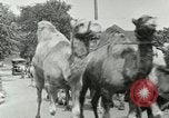 Standbild Circus United States USA, 1919, aus Sekunde 23 historischem Filmmaterial Videoclip 65675078134