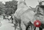 Standbild Circus United States USA, 1919, aus Sekunde 24 historischem Filmmaterial Videoclip 65675078134