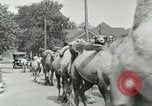 Standbild Circus United States USA, 1919, aus Sekunde 25 historischem Filmmaterial Videoclip 65675078134