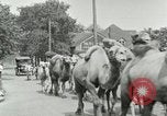 Standbild Circus United States USA, 1919, aus Sekunde 26 historischem Filmmaterial Videoclip 65675078134