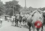Standbild Circus United States USA, 1919, aus Sekunde 27 historischem Filmmaterial Videoclip 65675078134