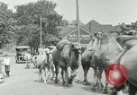 Standbild Circus United States USA, 1919, aus Sekunde 28 historischem Filmmaterial Videoclip 65675078134