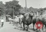 Standbild Circus United States USA, 1919, aus Sekunde 29 historischem Filmmaterial Videoclip 65675078134