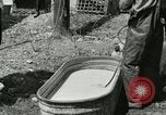 Image of worker washes a dog on Circus camp ground United States USA, 1919, second 4 stock footage video 65675078135