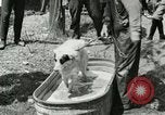 Image of worker washes a dog on Circus camp ground United States USA, 1919, second 9 stock footage video 65675078135