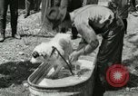 Image of worker washes a dog on Circus camp ground United States USA, 1919, second 10 stock footage video 65675078135