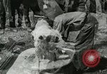 Image of worker washes a dog on Circus camp ground United States USA, 1919, second 18 stock footage video 65675078135