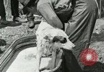 Image of worker washes a dog on Circus camp ground United States USA, 1919, second 20 stock footage video 65675078135
