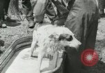 Image of worker washes a dog on Circus camp ground United States USA, 1919, second 26 stock footage video 65675078135