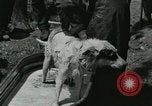 Image of worker washes a dog on Circus camp ground United States USA, 1919, second 29 stock footage video 65675078135