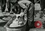 Image of worker washes a dog on Circus camp ground United States USA, 1919, second 32 stock footage video 65675078135