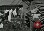 Image of worker washes a dog on Circus camp ground United States USA, 1919, second 43 stock footage video 65675078135