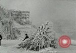 Standbild Niagara Falls New York United States USA, 1919, aus Sekunde 11 historischem Filmmaterial Videoclip 65675078139