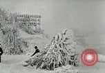 Standbild Niagara Falls New York United States USA, 1919, aus Sekunde 13 historischem Filmmaterial Videoclip 65675078139