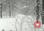 Standbild Schneebedeckter Wald mit Schnee fallen New York United States USA, 1919, aus Sekunde 5 historischem Filmmaterial Videoclip 65675078142