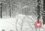 Standbild Schneebedeckter Wald mit Schnee fallen New York United States USA, 1919, aus Sekunde 6 historischem Filmmaterial Videoclip 65675078142