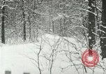 Standbild Schneebedeckter Wald mit Schnee fallen New York United States USA, 1919, aus Sekunde 7 historischem Filmmaterial Videoclip 65675078142