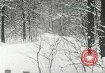 Standbild Schneebedeckter Wald mit Schnee fallen New York United States USA, 1919, aus Sekunde 8 historischem Filmmaterial Videoclip 65675078142