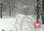 Standbild Schneebedeckter Wald mit Schnee fallen New York United States USA, 1919, aus Sekunde 9 historischem Filmmaterial Videoclip 65675078142