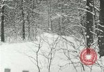 Standbild Schneebedeckter Wald mit Schnee fallen New York United States USA, 1919, aus Sekunde 11 historischem Filmmaterial Videoclip 65675078142