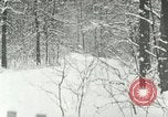 Standbild Schneebedeckter Wald mit Schnee fallen New York United States USA, 1919, aus Sekunde 12 historischem Filmmaterial Videoclip 65675078142