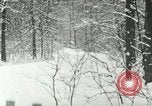 Standbild Schneebedeckter Wald mit Schnee fallen New York United States USA, 1919, aus Sekunde 14 historischem Filmmaterial Videoclip 65675078142