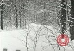 Standbild Schneebedeckter Wald mit Schnee fallen New York United States USA, 1919, aus Sekunde 15 historischem Filmmaterial Videoclip 65675078142