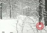 Standbild Schneebedeckter Wald mit Schnee fallen New York United States USA, 1919, aus Sekunde 16 historischem Filmmaterial Videoclip 65675078142