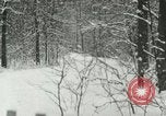 Standbild Schneebedeckter Wald mit Schnee fallen New York United States USA, 1919, aus Sekunde 17 historischem Filmmaterial Videoclip 65675078142
