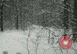 Standbild Schneebedeckter Wald mit Schnee fallen New York United States USA, 1919, aus Sekunde 18 historischem Filmmaterial Videoclip 65675078142