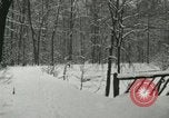 Standbild Schneebedeckter Wald mit Schnee fallen New York United States USA, 1919, aus Sekunde 20 historischem Filmmaterial Videoclip 65675078142