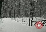 Standbild Schneebedeckter Wald mit Schnee fallen New York United States USA, 1919, aus Sekunde 21 historischem Filmmaterial Videoclip 65675078142