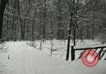 Standbild Schneebedeckter Wald mit Schnee fallen New York United States USA, 1919, aus Sekunde 22 historischem Filmmaterial Videoclip 65675078142