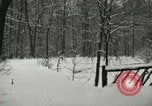 Standbild Schneebedeckter Wald mit Schnee fallen New York United States USA, 1919, aus Sekunde 23 historischem Filmmaterial Videoclip 65675078142