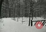 Standbild Schneebedeckter Wald mit Schnee fallen New York United States USA, 1919, aus Sekunde 24 historischem Filmmaterial Videoclip 65675078142