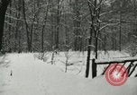 Standbild Schneebedeckter Wald mit Schnee fallen New York United States USA, 1919, aus Sekunde 25 historischem Filmmaterial Videoclip 65675078142