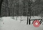 Standbild Schneebedeckter Wald mit Schnee fallen New York United States USA, 1919, aus Sekunde 26 historischem Filmmaterial Videoclip 65675078142