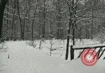Standbild Schneebedeckter Wald mit Schnee fallen New York United States USA, 1919, aus Sekunde 27 historischem Filmmaterial Videoclip 65675078142